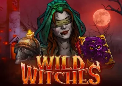 Wild Witches (1) screenshot